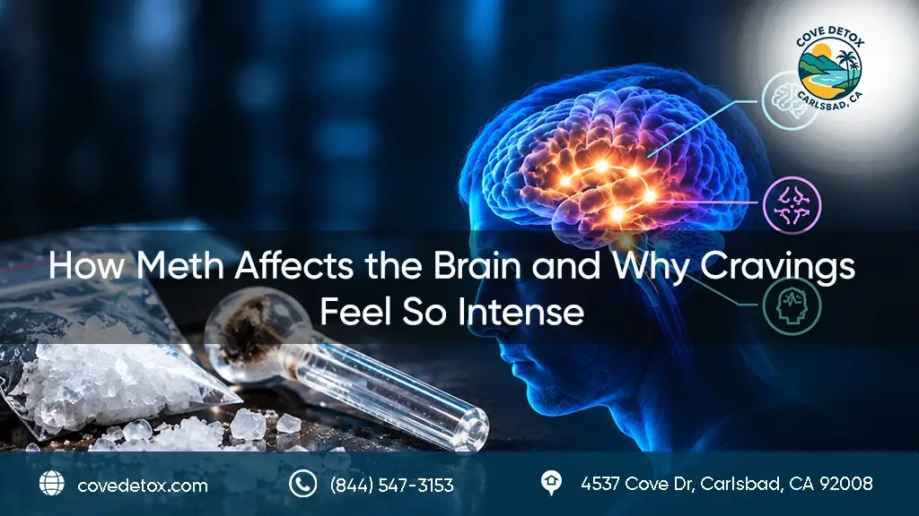 how-meth-affects-the-brain-and-cravings